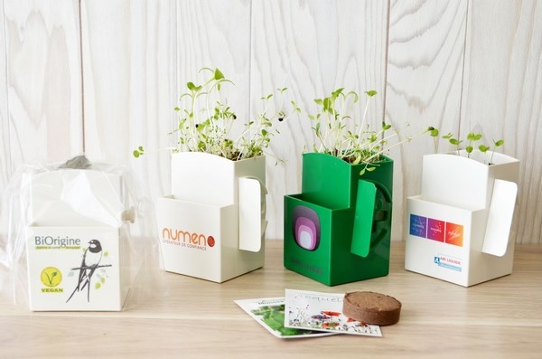 La Vegetal-box Kit graines - 2