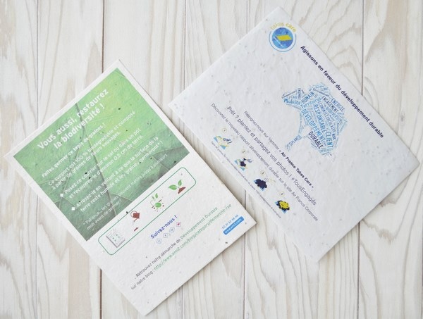 Tapis de semis 21 x 14,8 cm - A5 80 gr recto - 1