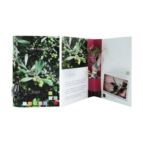 La Plante postale - carte postale avec plante