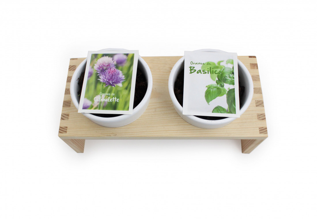 Duo de plantes aromatiques sur plateau en bois - 3