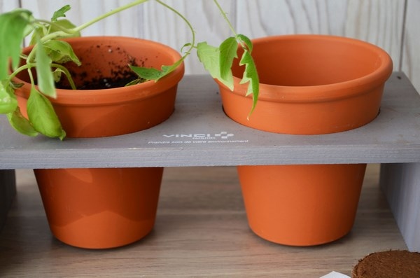 Duo de plantes aromatiques sur plateau en bois - 1