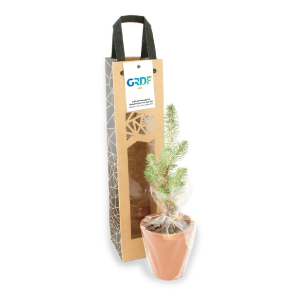 Plant d'arbre en sac kraft black collection - Feuillus