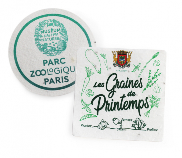 Sous verre ensemencé avec graines à planter