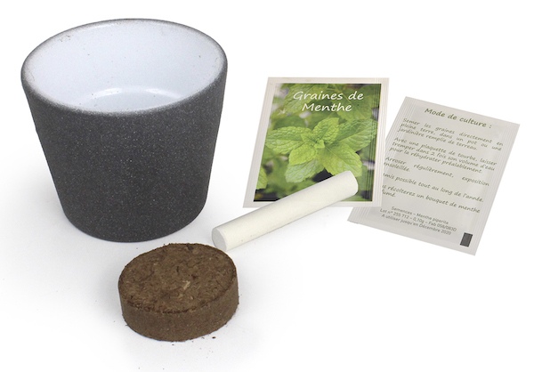Kit de plantation avec pot en ardoise et une craie
