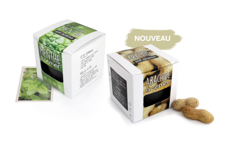 Kit de plantation avec pot en ardoise et une craie - 2