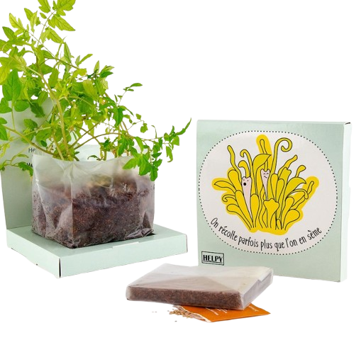 Kit de plantation Carré coco box avec graines a semer