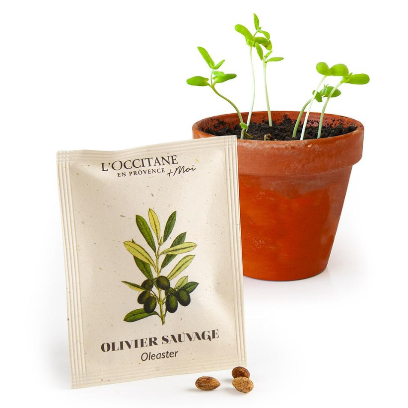 Sachet de graines à base de fibres de tomates 62x80mm