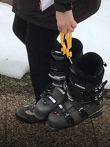 Clip skis - 3