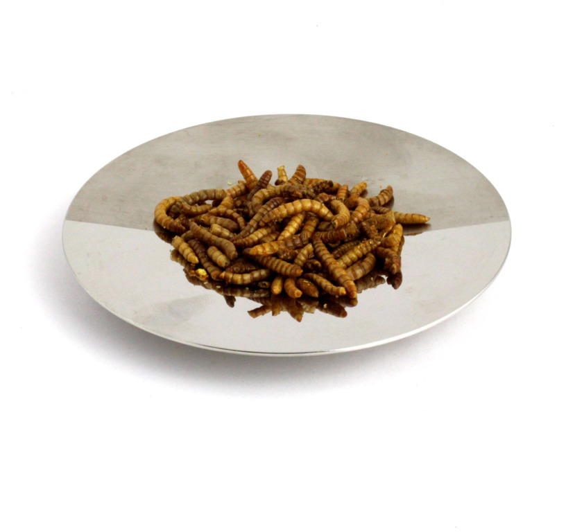 Insectes apéritifs en sachet - 3