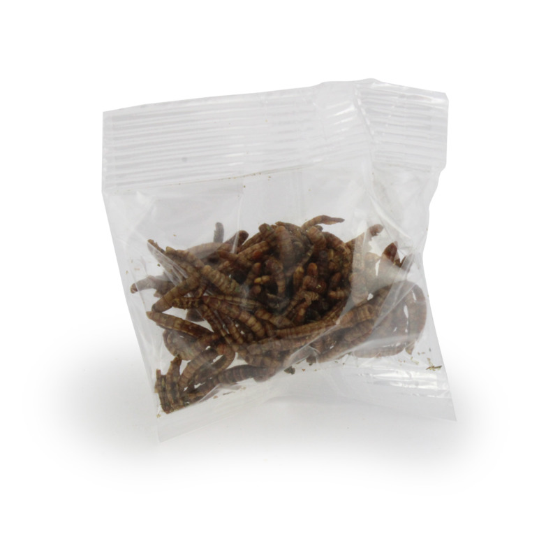 Insectes apéritifs en sachet - 2