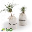 Plant de pin en pochon coton personnalisable - 2