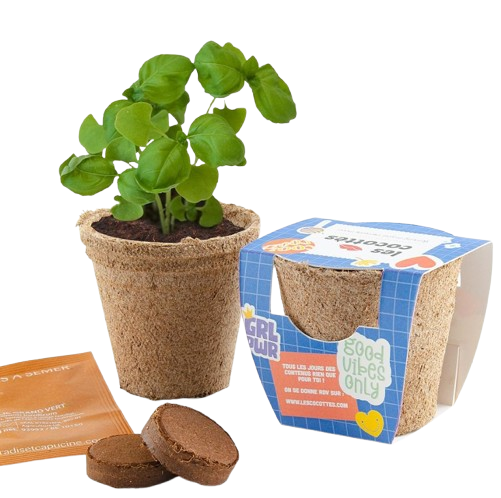 Petit kit de plantation dans son pot en tourbe