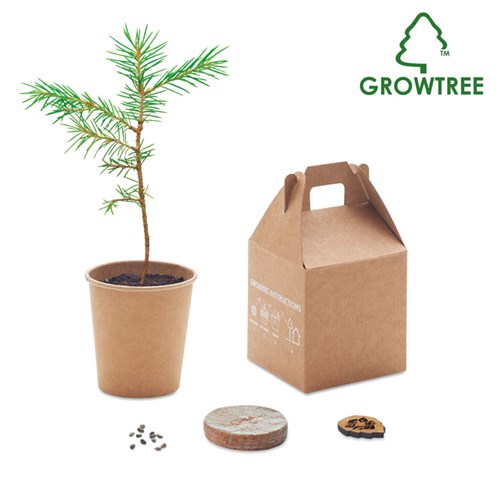 Mini plant d'arbre personnalisé à offrir - Cadeaux d'affaires