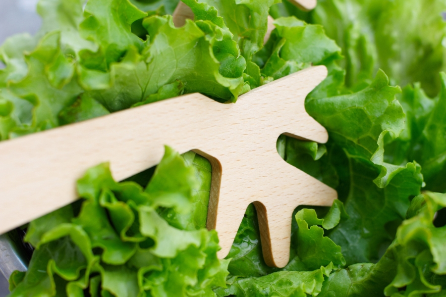Couverts à salade en bois - DU BOUT DES BRANCHES - 4