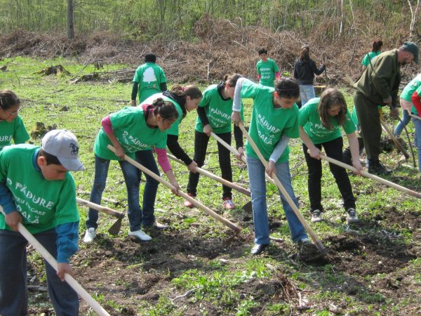 Bracelet et médaillon en bois made in France  - Manifesto Forêt - 3