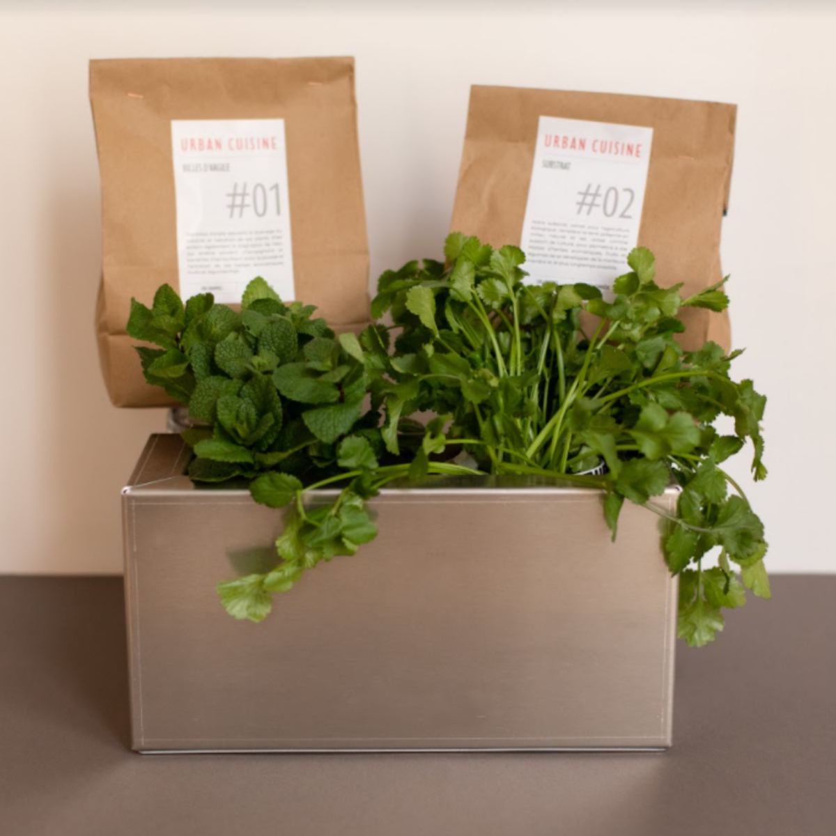 Balconnière pour cultiver 2 plants - 2