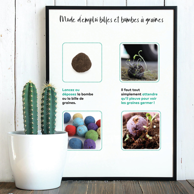 Berlingot 3 billes de graines - 50x80x20 mm - 5