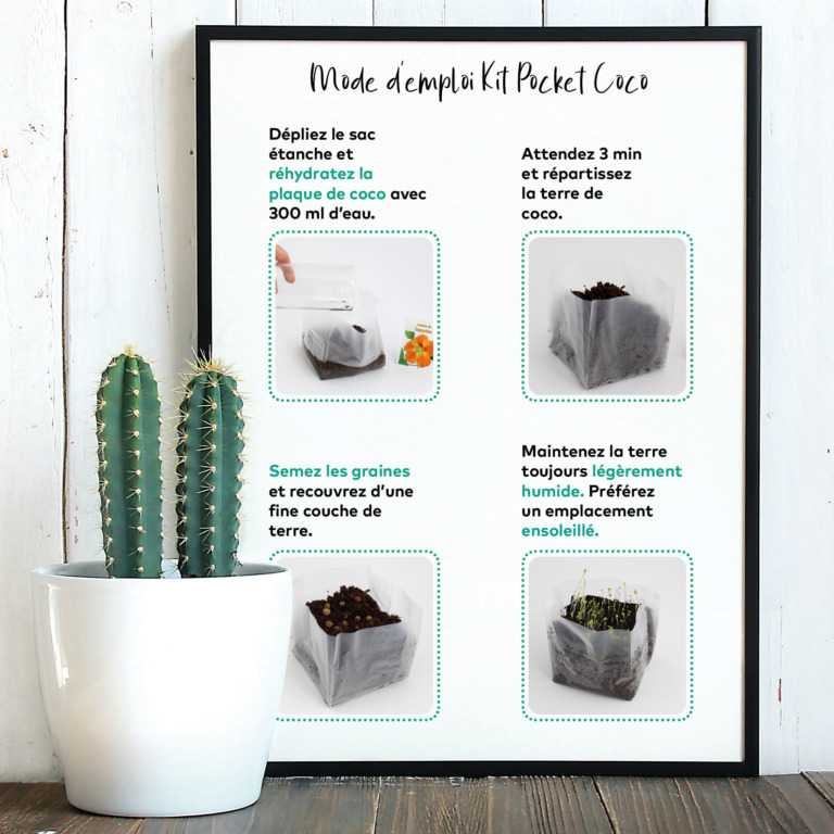 Kit de plantation pocket coco - 1