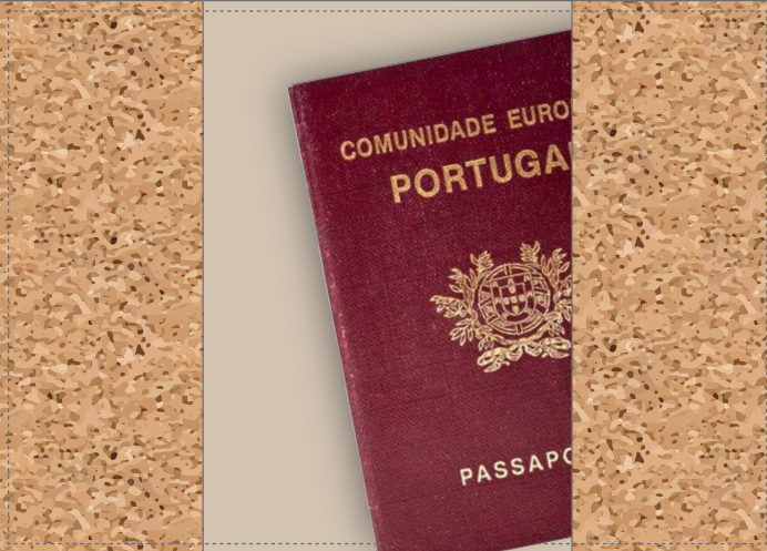 Porte passeport en Liège