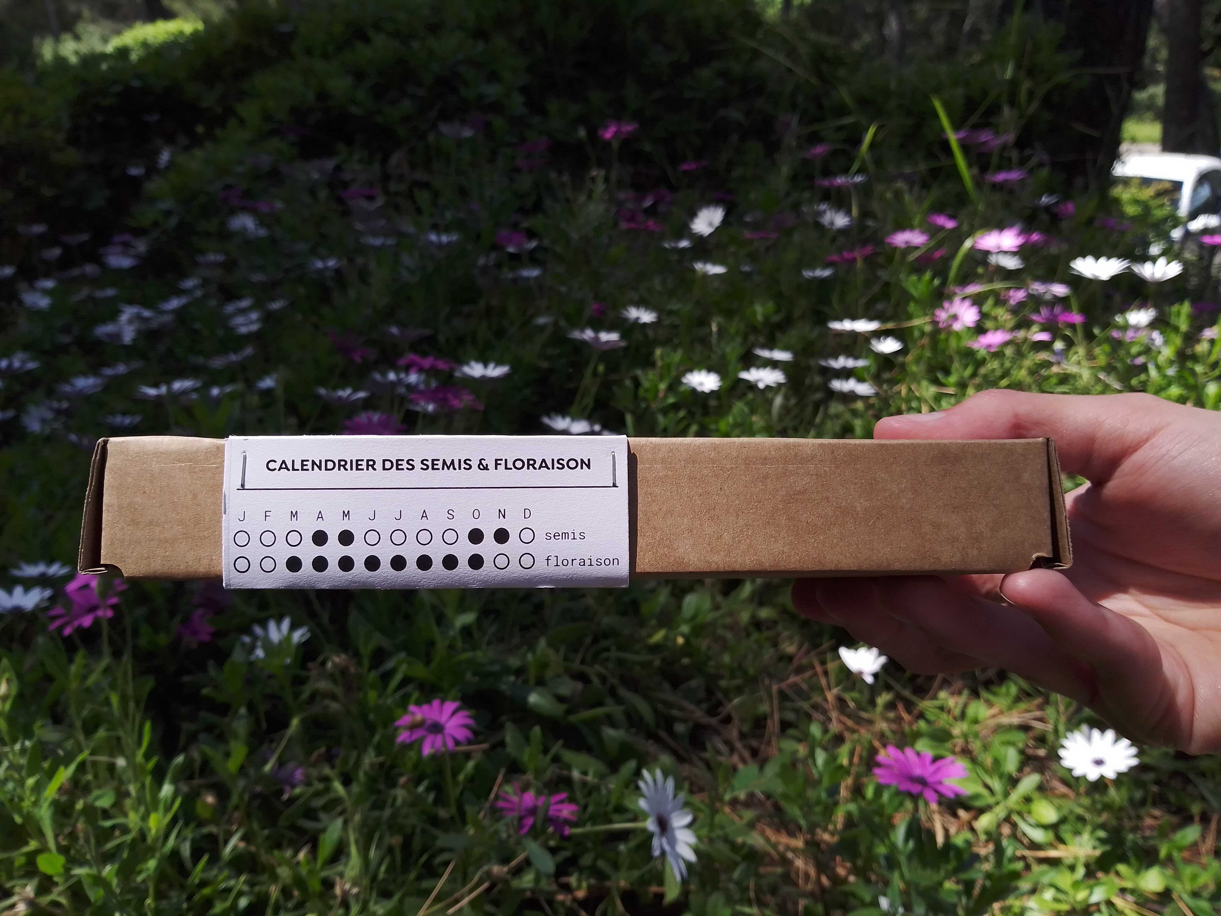 Bombes à fleurs dans coffret en carton kraft, fourreau personnalisable - 3