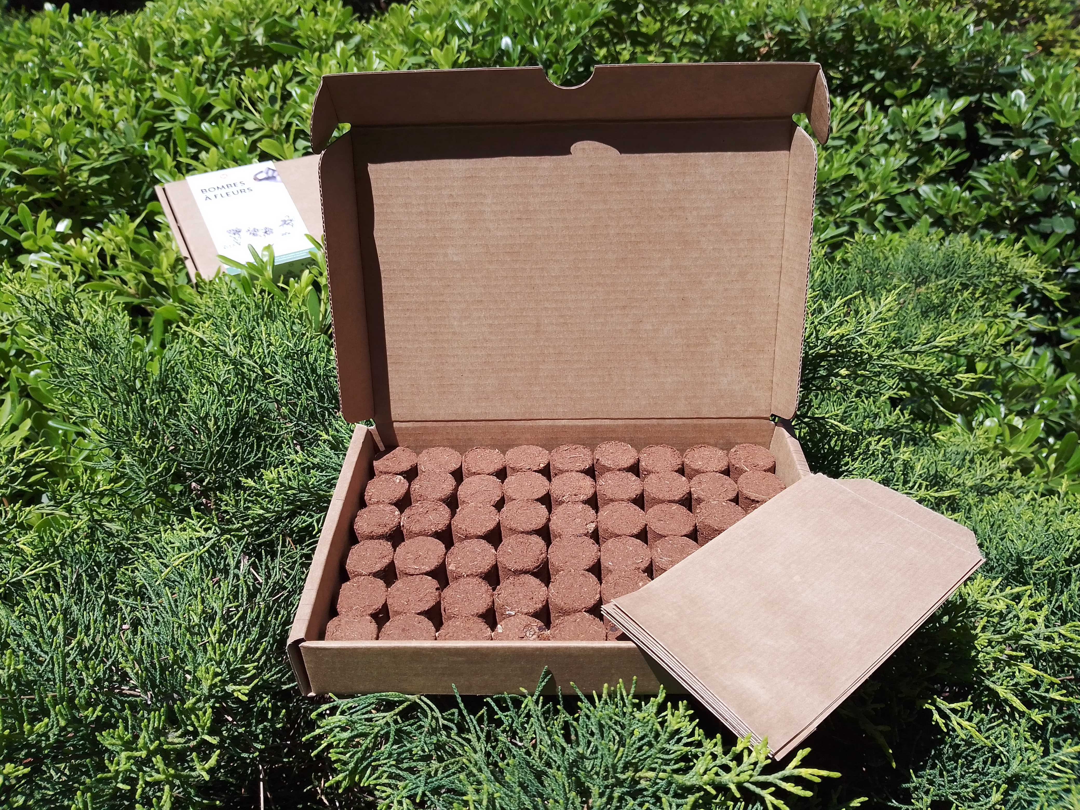 Bombes à fleurs dans coffret en carton kraft, fourreau personnalisable - 4