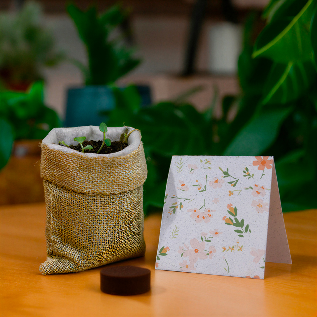 Kit de plantation dan un sac en toile de jute avec carte ensemencée - 3