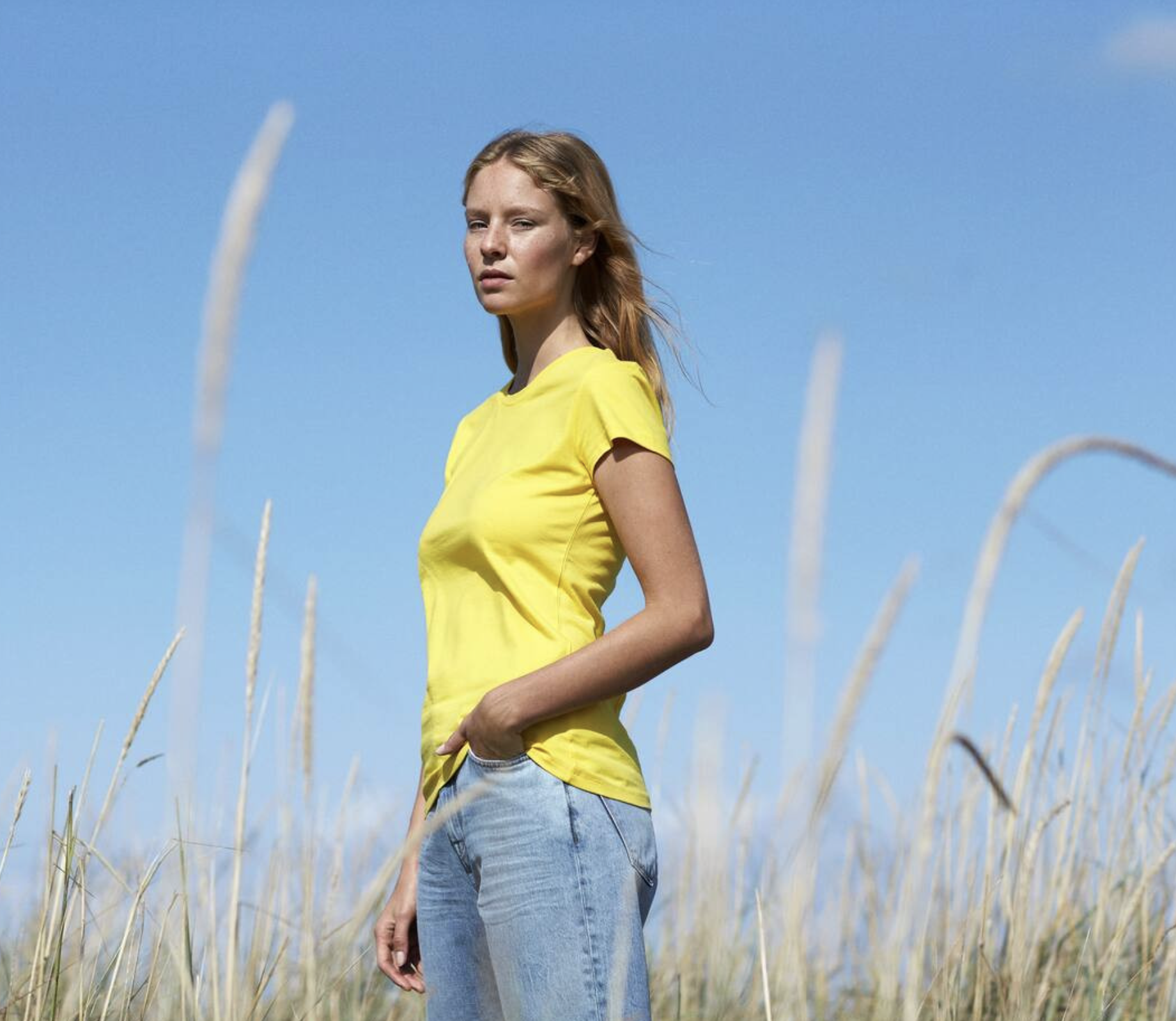 Tee shirt femme coton biologique - 2