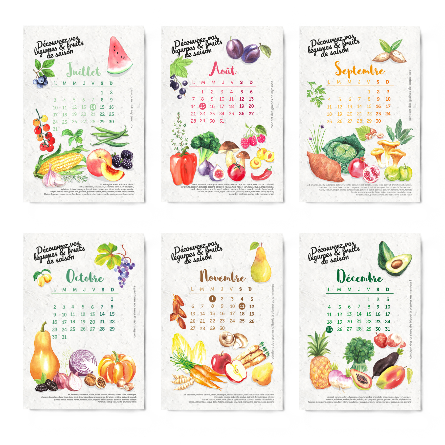 Calendrier 13 graines en papier ensemencé à planter - format A6 - 10