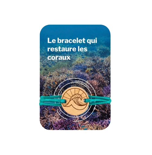 Bracelet et médaillon en bois made in France  - Agir Océans