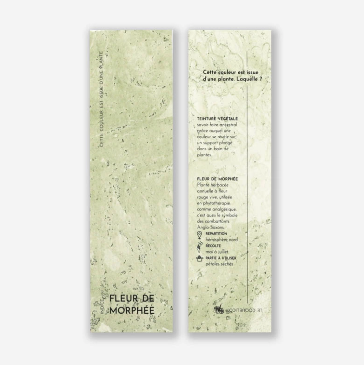 Marque-pages végétal oignon - 4