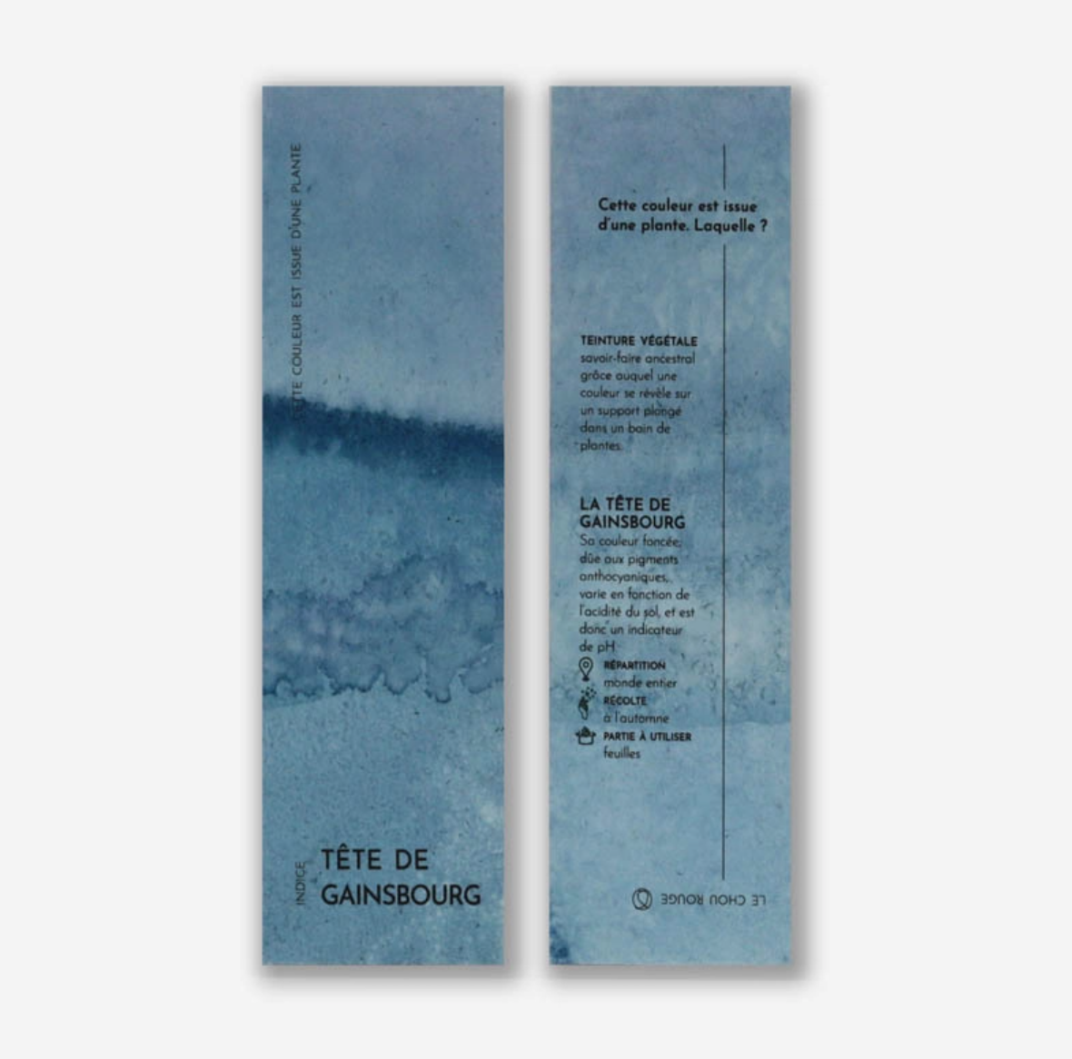 Marque-pages végétal oignon - 5