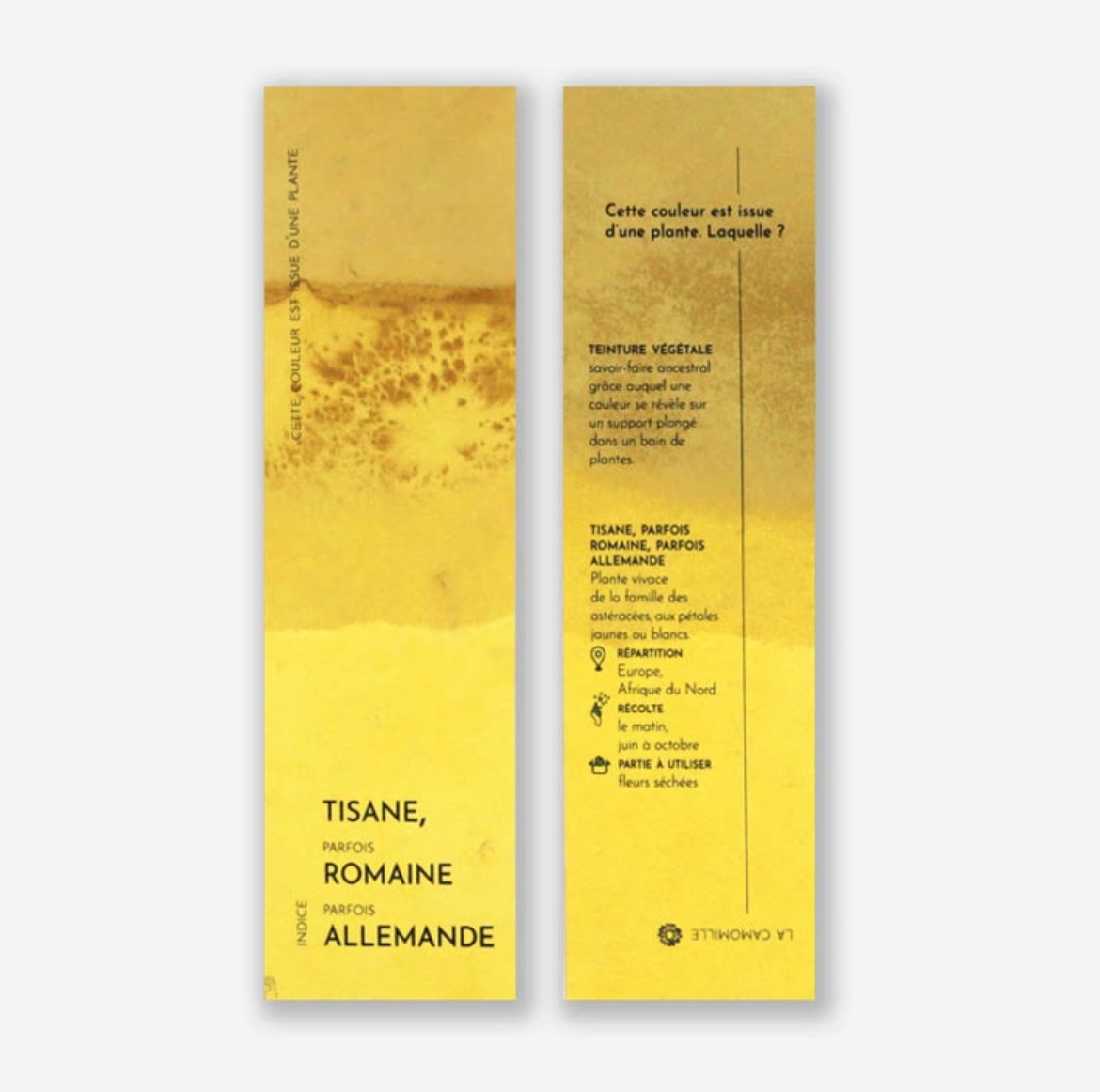 Marque-pages végétal oignon - 6