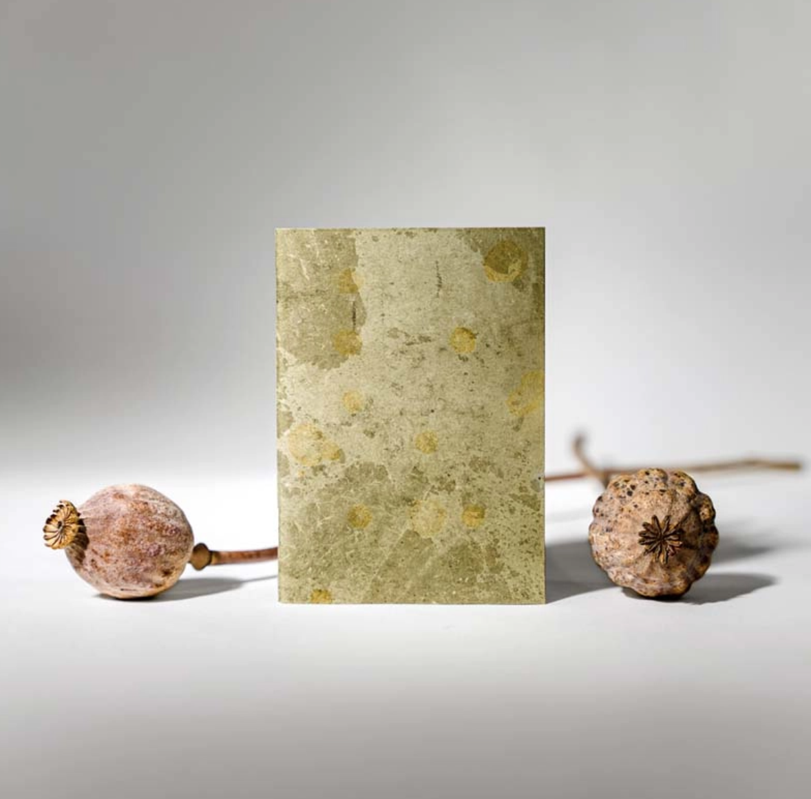 Carnet végétal format A5 - 2