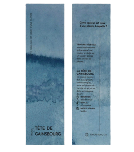 Marque-pages végétal chou rouge