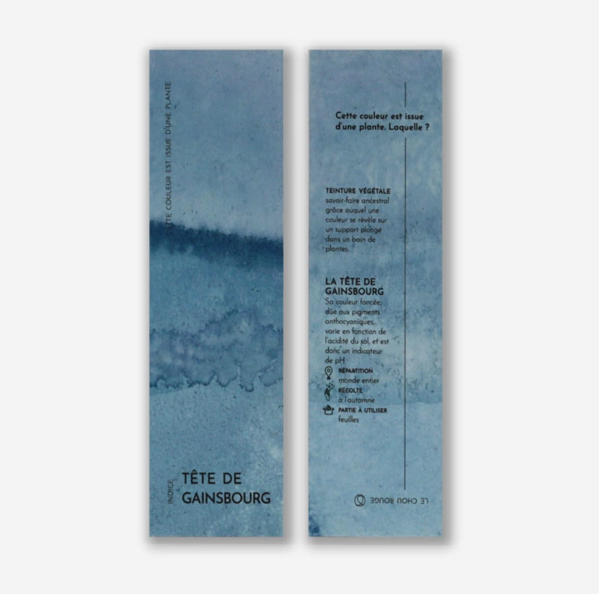 Marque-pages végétal chou rouge - 2