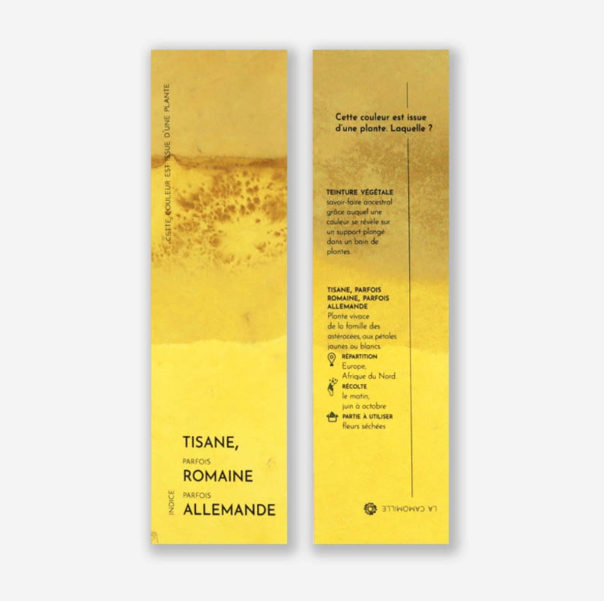 Marque-pages végétal camomille - 2