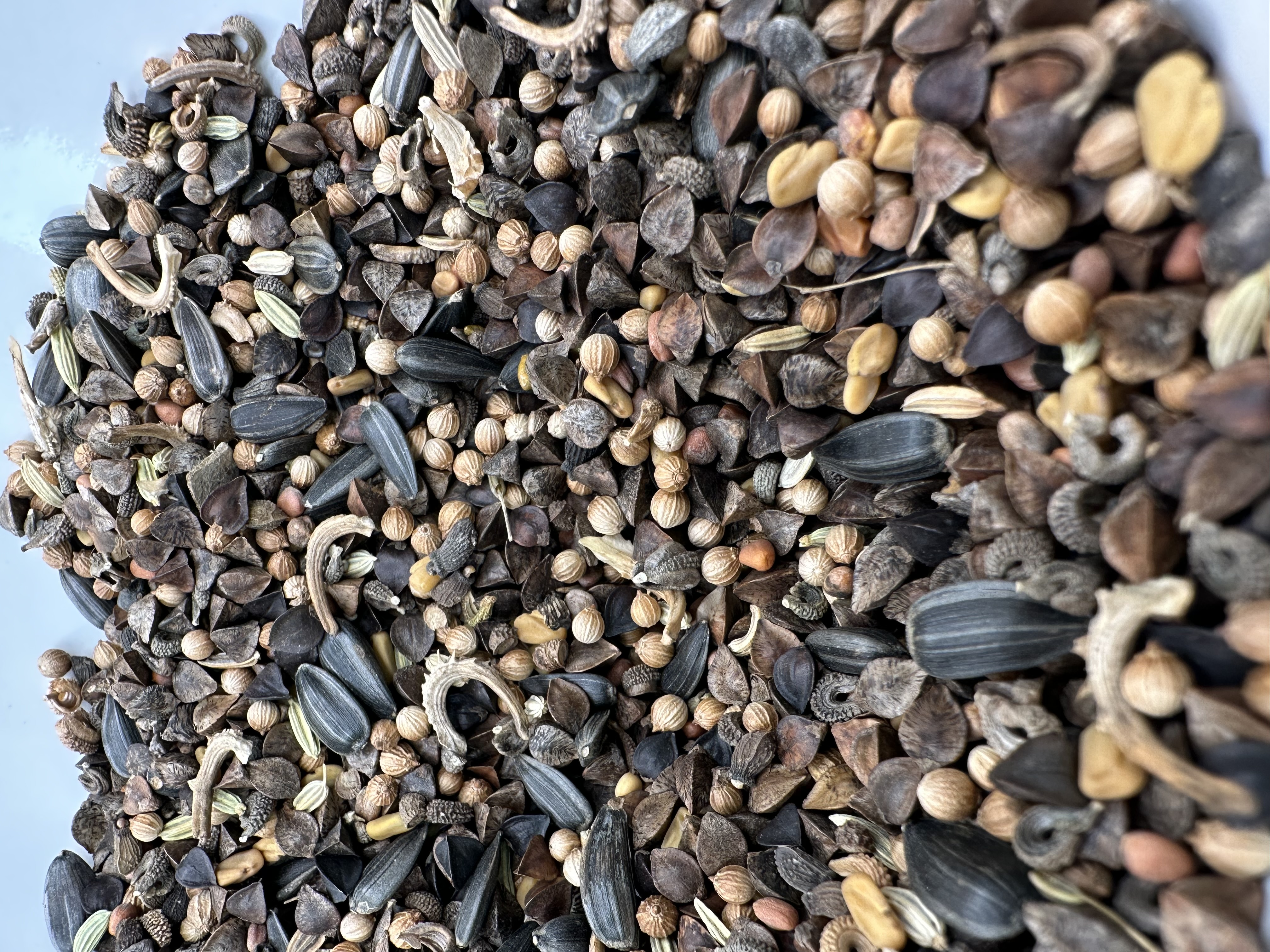 Sachet de graines biologiques personnalisable - 4