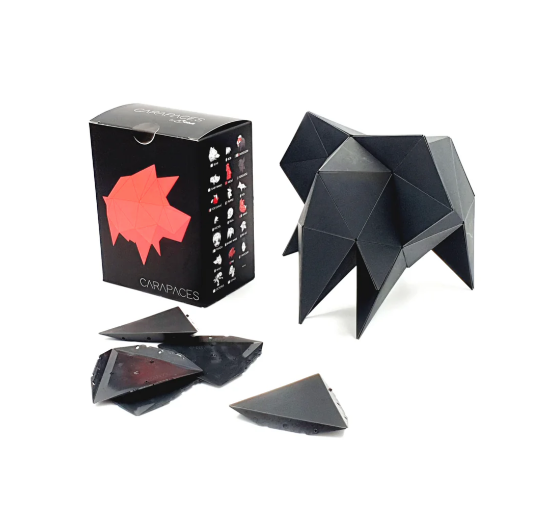 Jeu Carapace : créer votre propre objet - 2