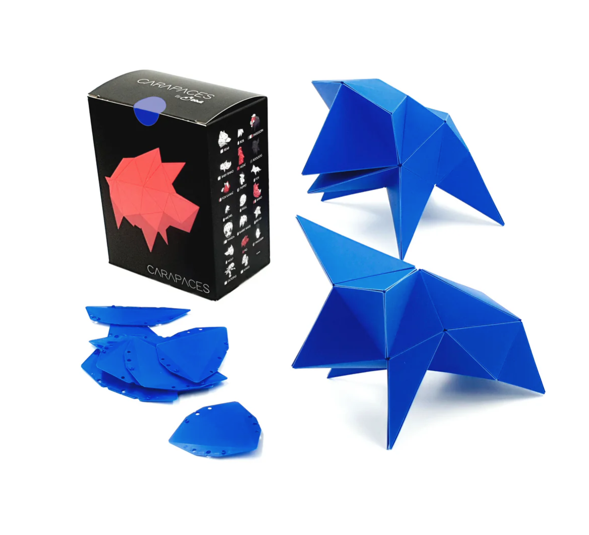 Jeu Carapace : créer votre propre objet - 3