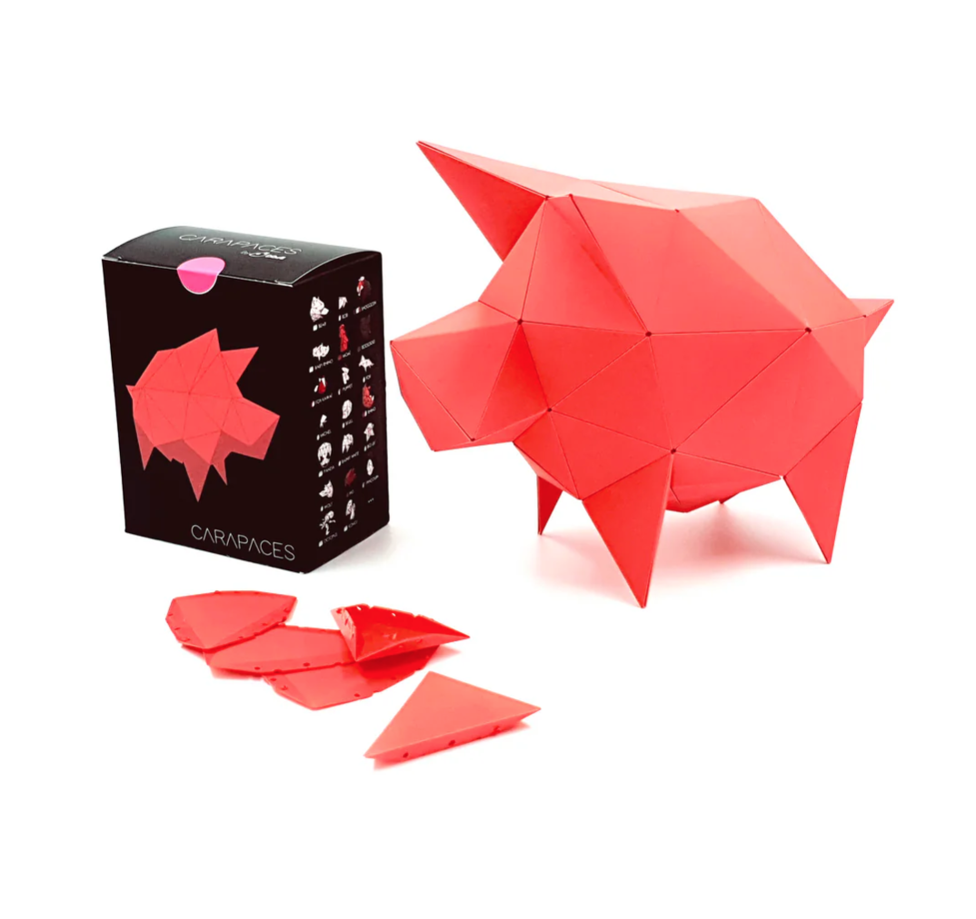 Jeu Carapace : créer votre propre objet - 4