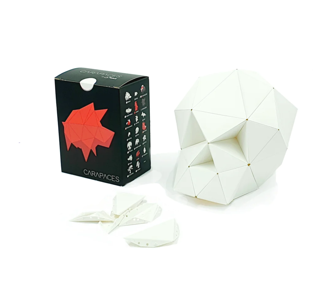 Jeu Carapace : créer votre propre objet