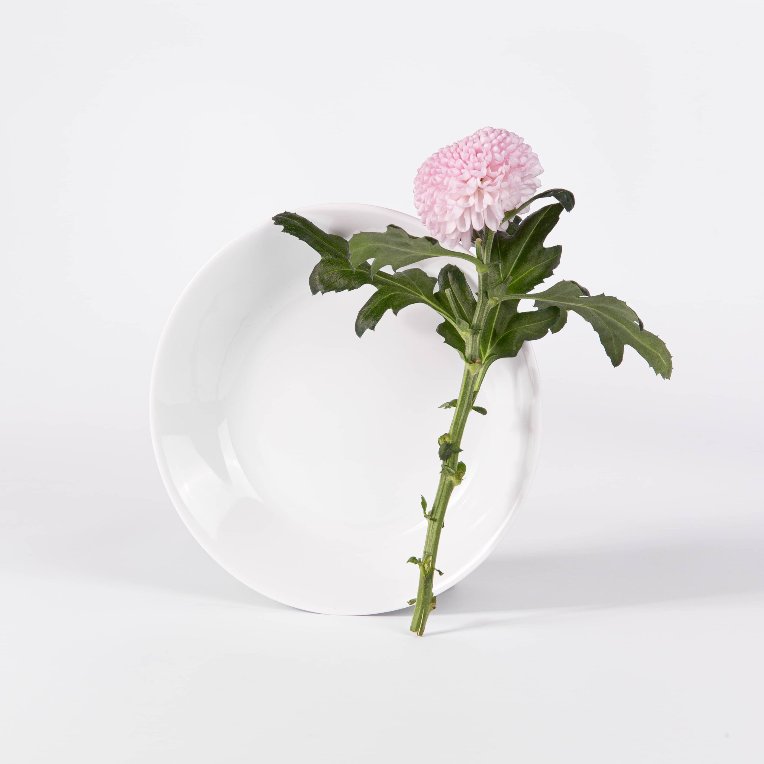 Assiette creuse ronde 19 cm - 3