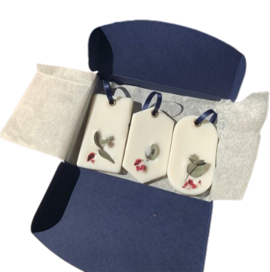 Coffret de 3 Parfums d'intérieur solide fait main