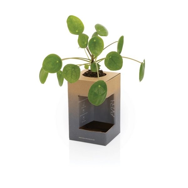 Mug 300ml en acier inoxydable recyclé - Avira Alya - 73