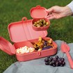 Coffret lunchbox Made in Europe - Pascal ready - 8