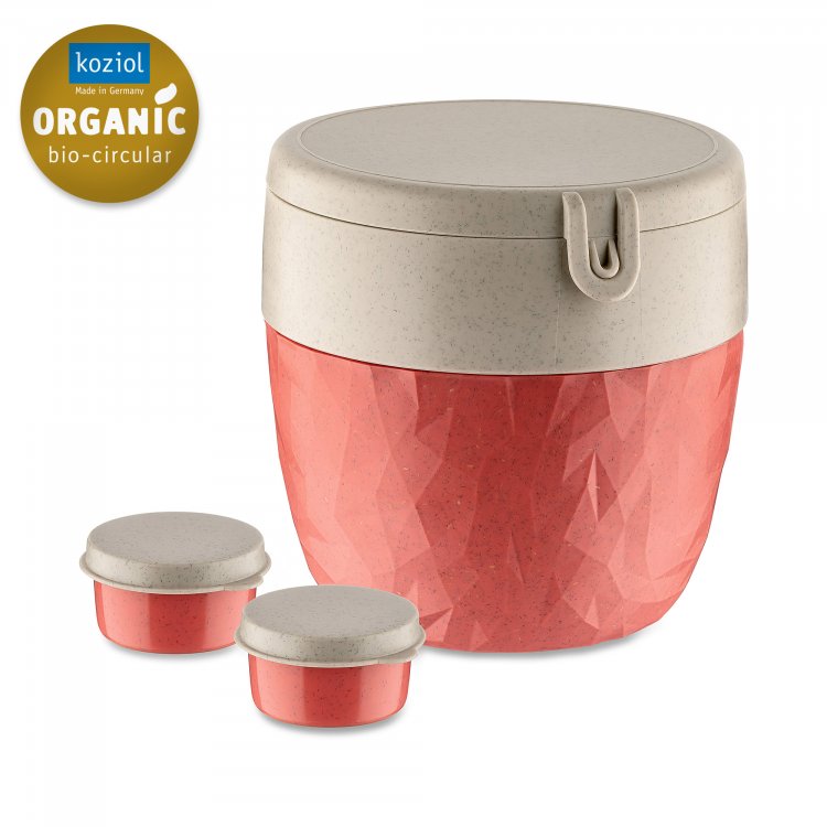 Ensemble de 3 boîtes à repas Made in Europe - Lunchbox M/L -