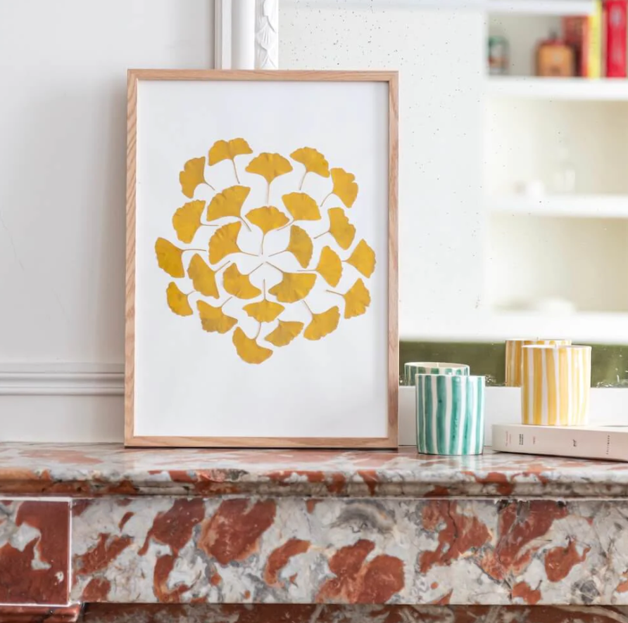 Herbier confectionné à la main -