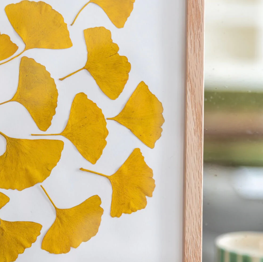 Herbier confectionné à la main -