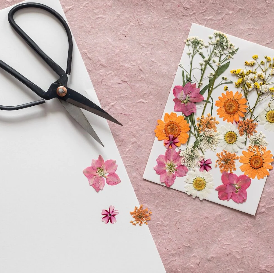 Kit DIY pour réaliser un herbier décoratif - 4