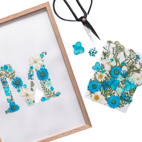 Kit DIY pour réaliser un herbier décoratif